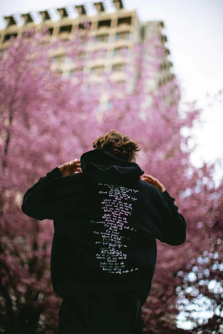 Faded 2.0 Hoodie Alan Walker Official Merch