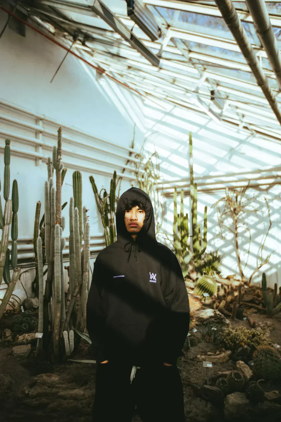 Melting Rose Hoodie Alan Walker Official Merch