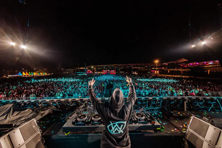 Spectre Hoodie Alan Walker Official Merch